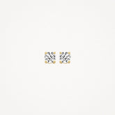 Blush Ohrstecker 7213YZI - Gelbgold (585)